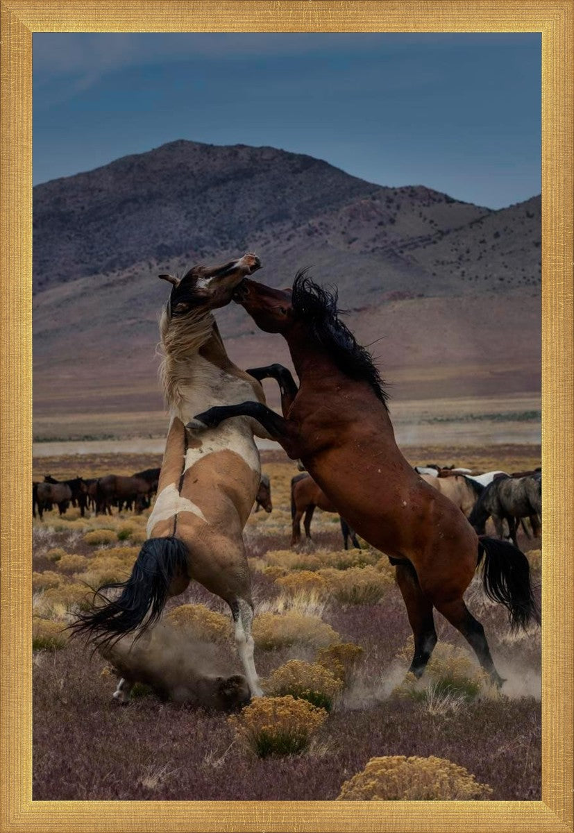 Desert Duel 1