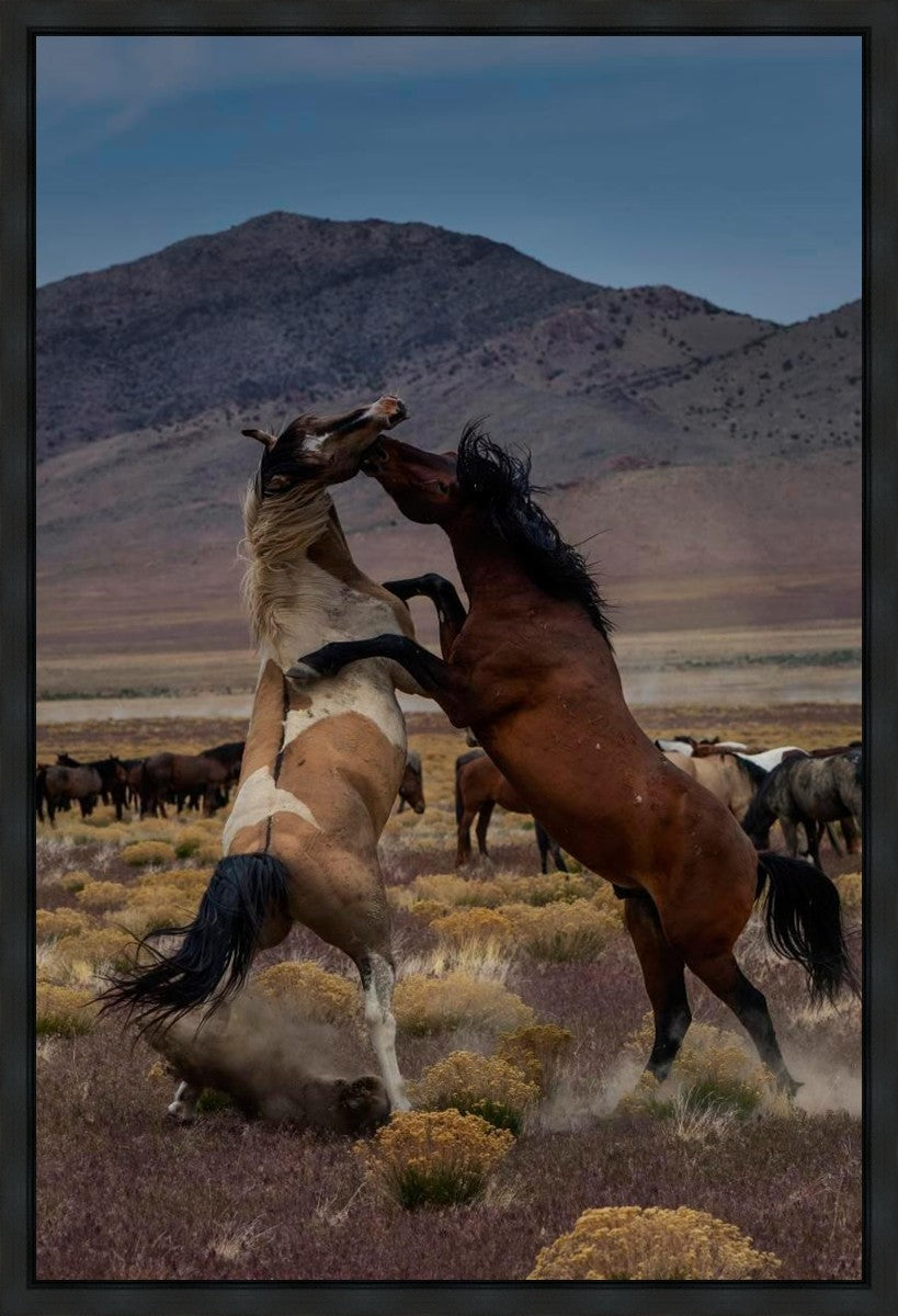 Desert Duel 1