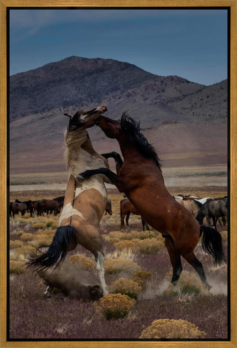 Desert Duel 1