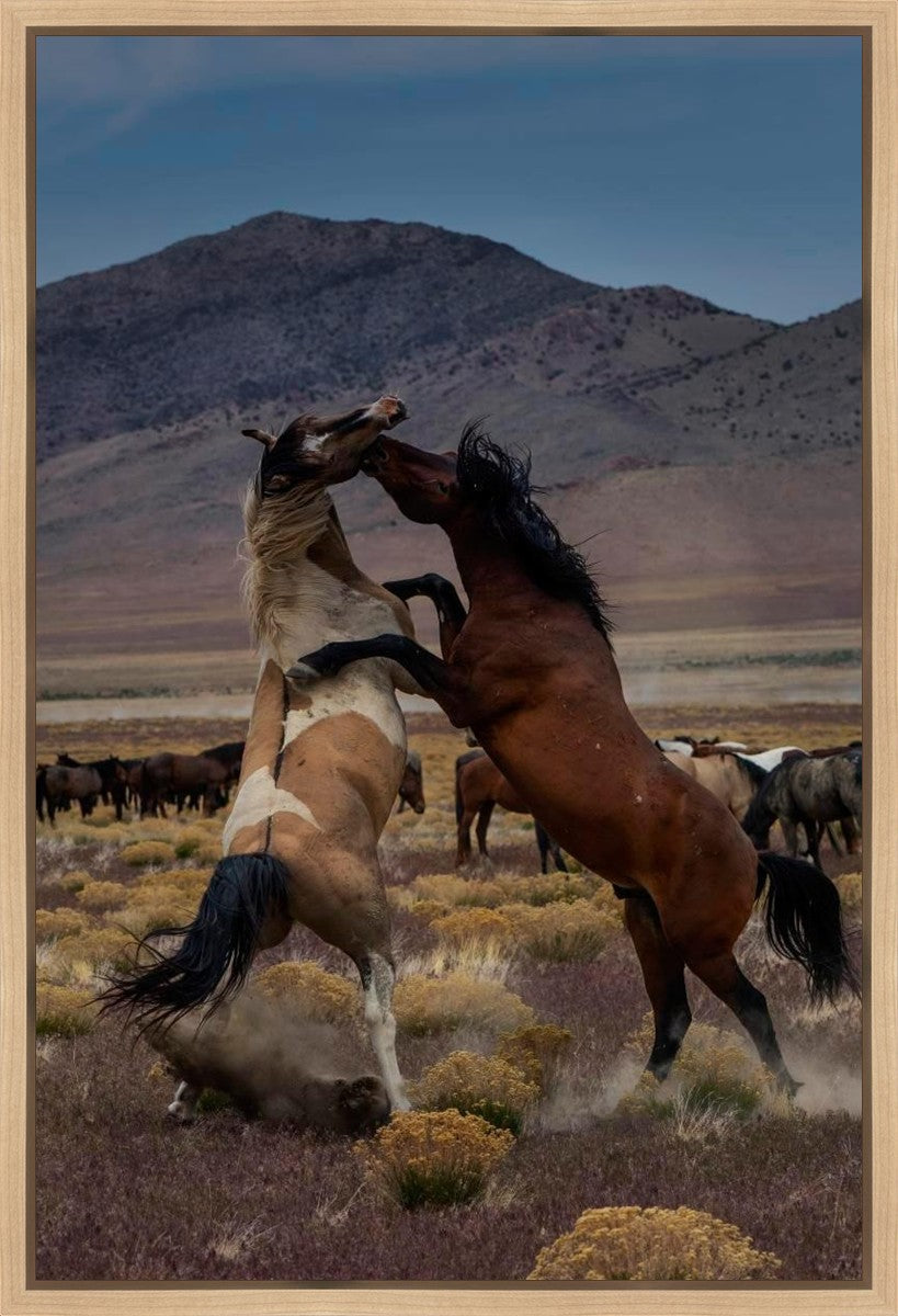 Desert Duel 1