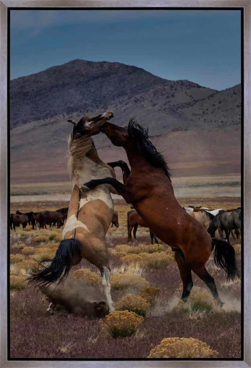 Desert Duel 1