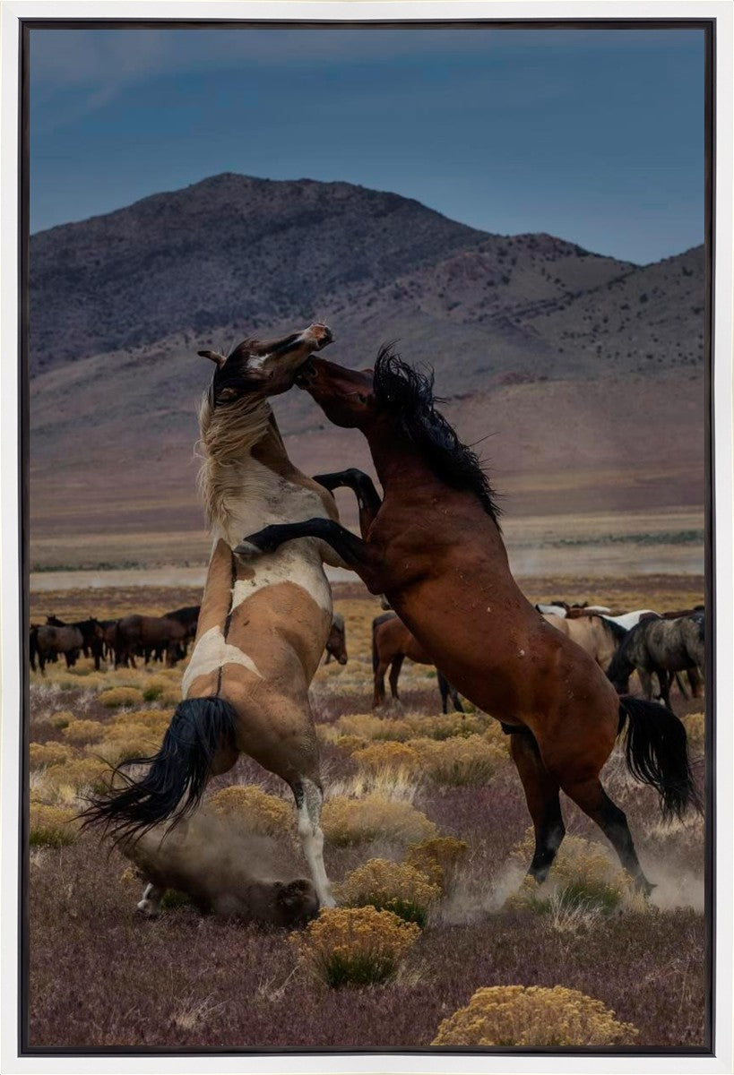 Desert Duel 1