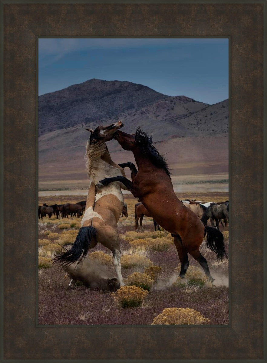 Desert Duel 1