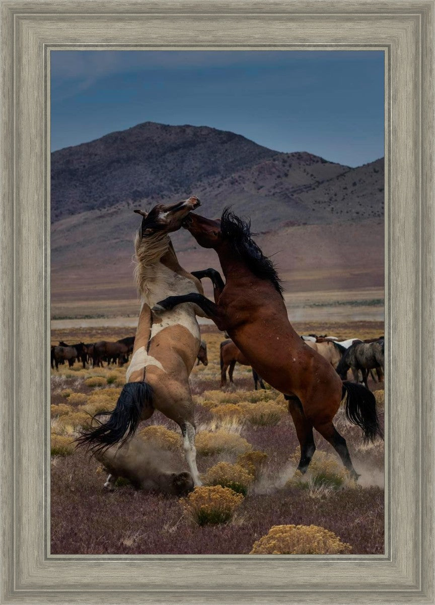 Desert Duel 1