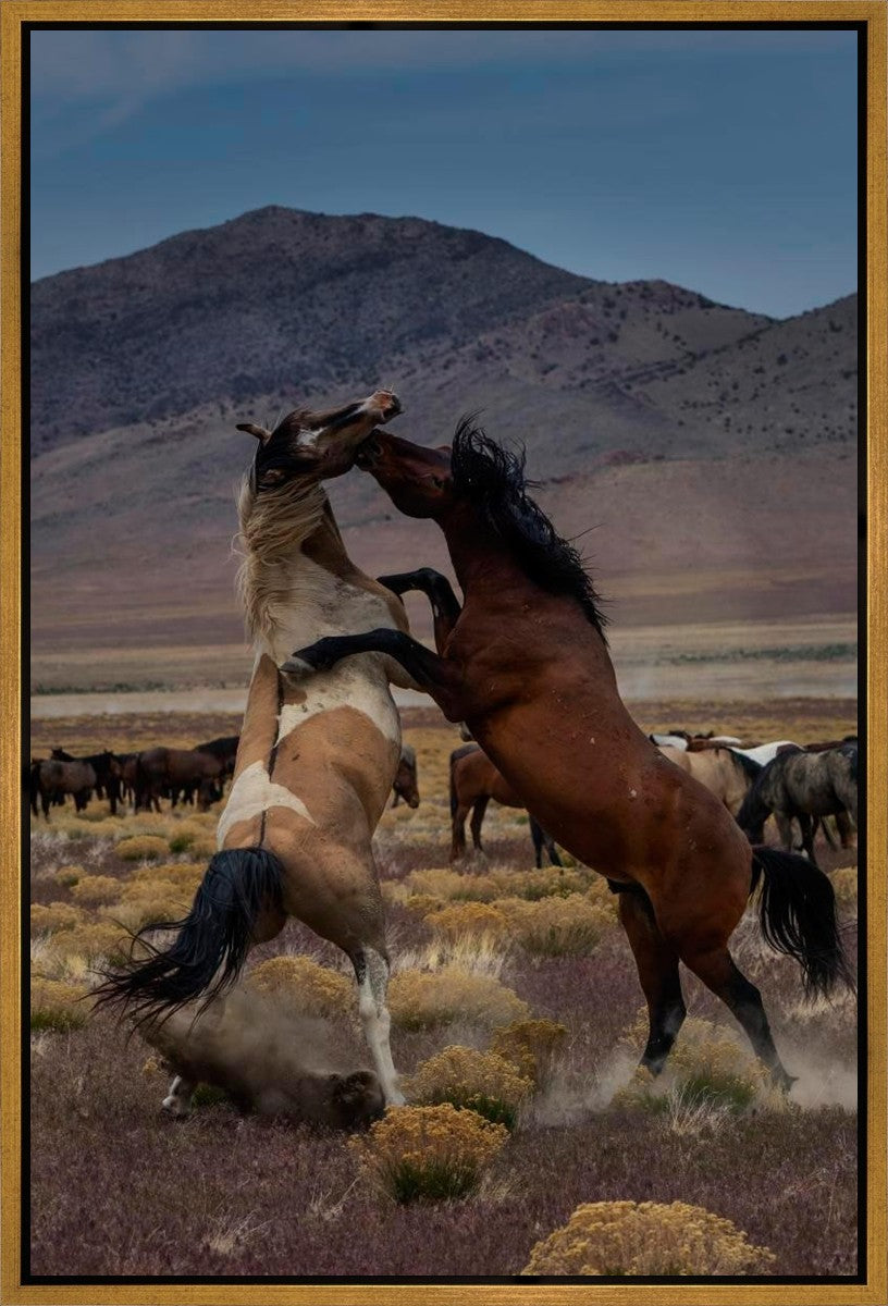 Desert Duel 1