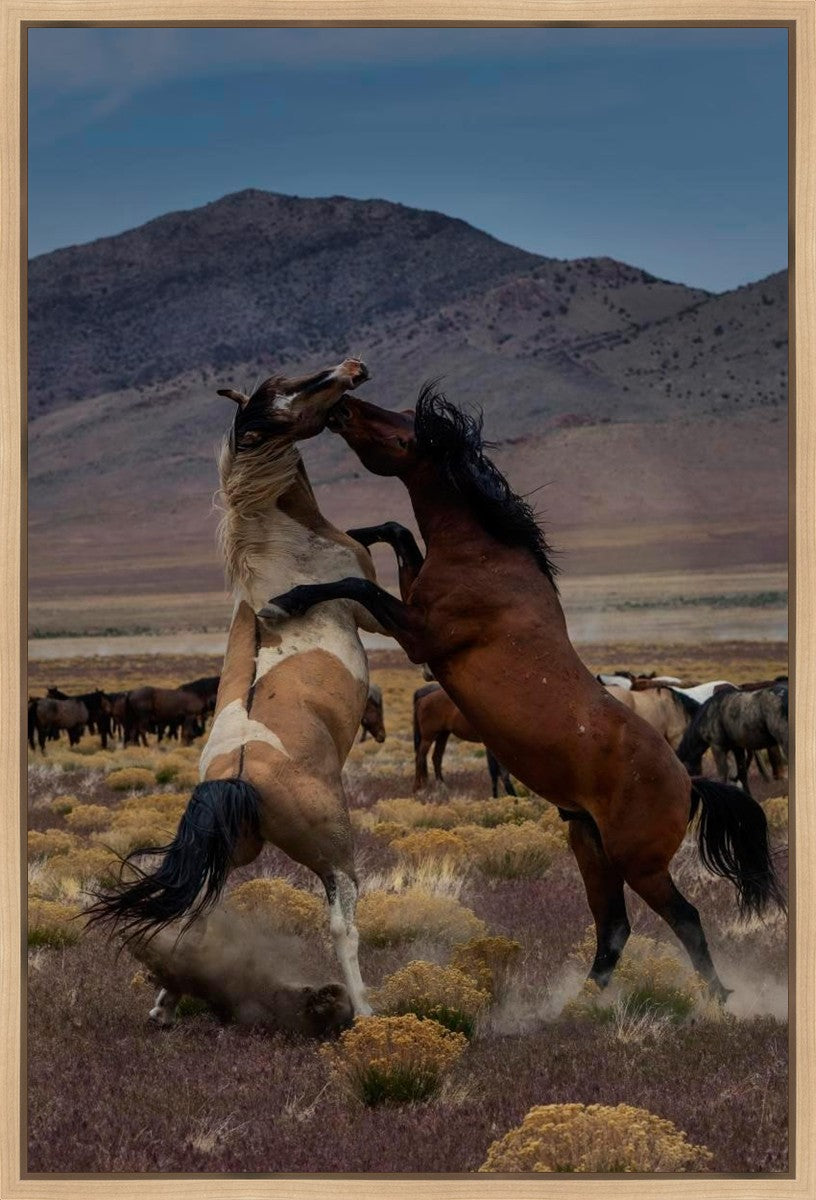 Desert Duel 1