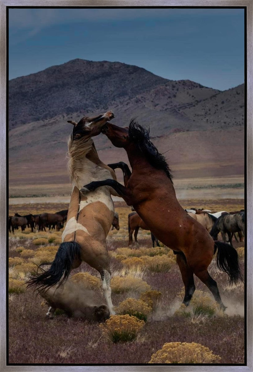 Desert Duel 1