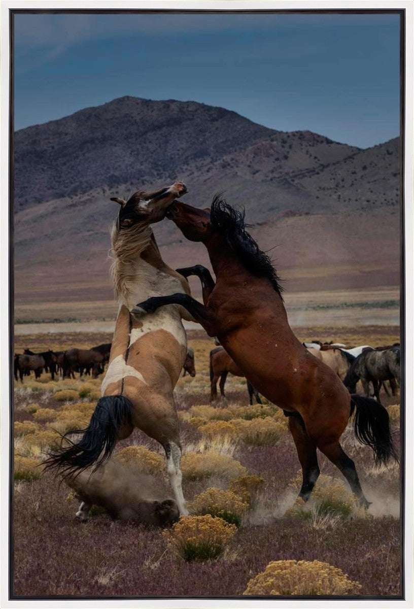Desert Duel 1