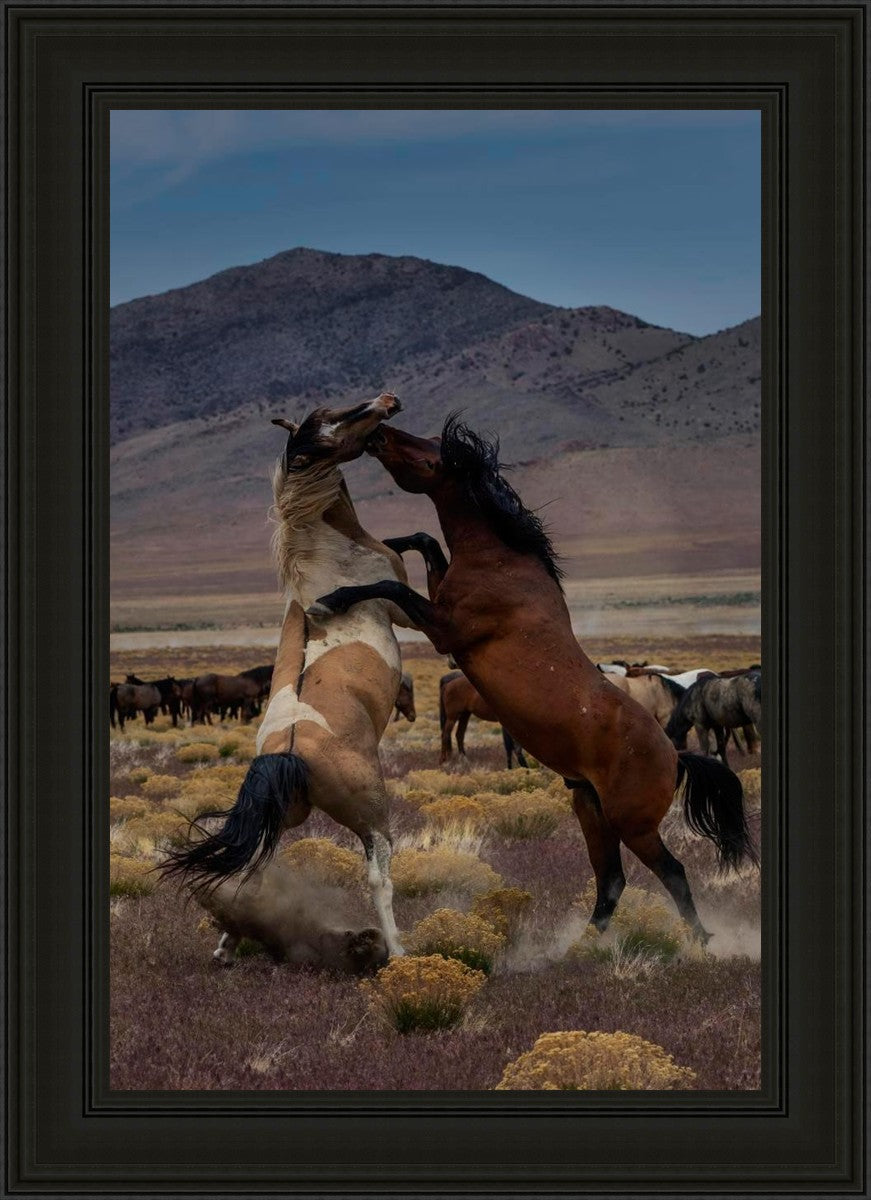 Desert Duel 1