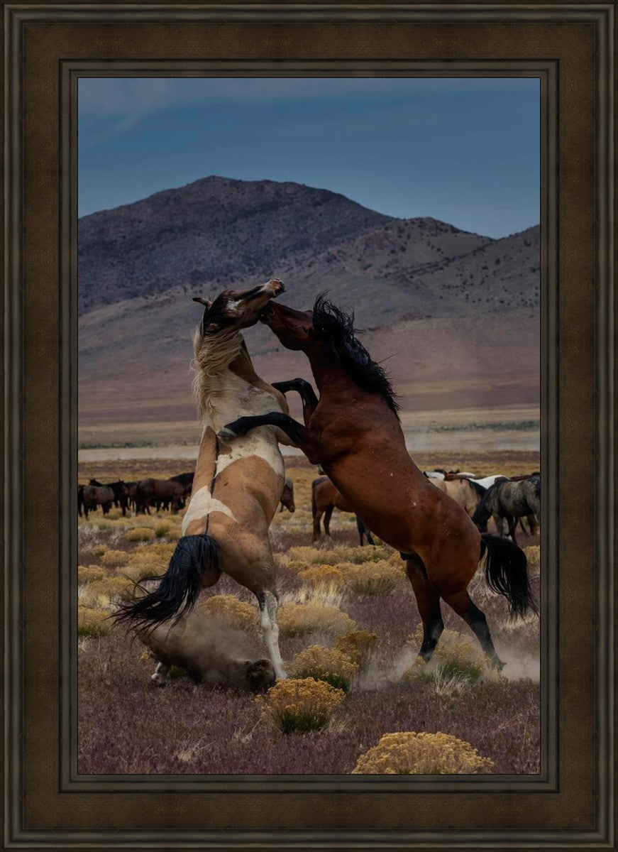 Desert Duel 1