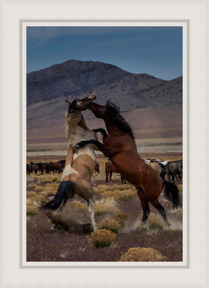 Desert Duel 1