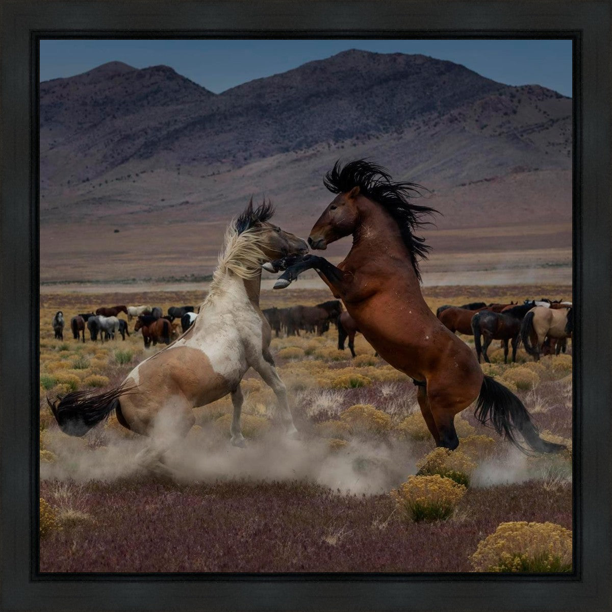 Desert Duel 5