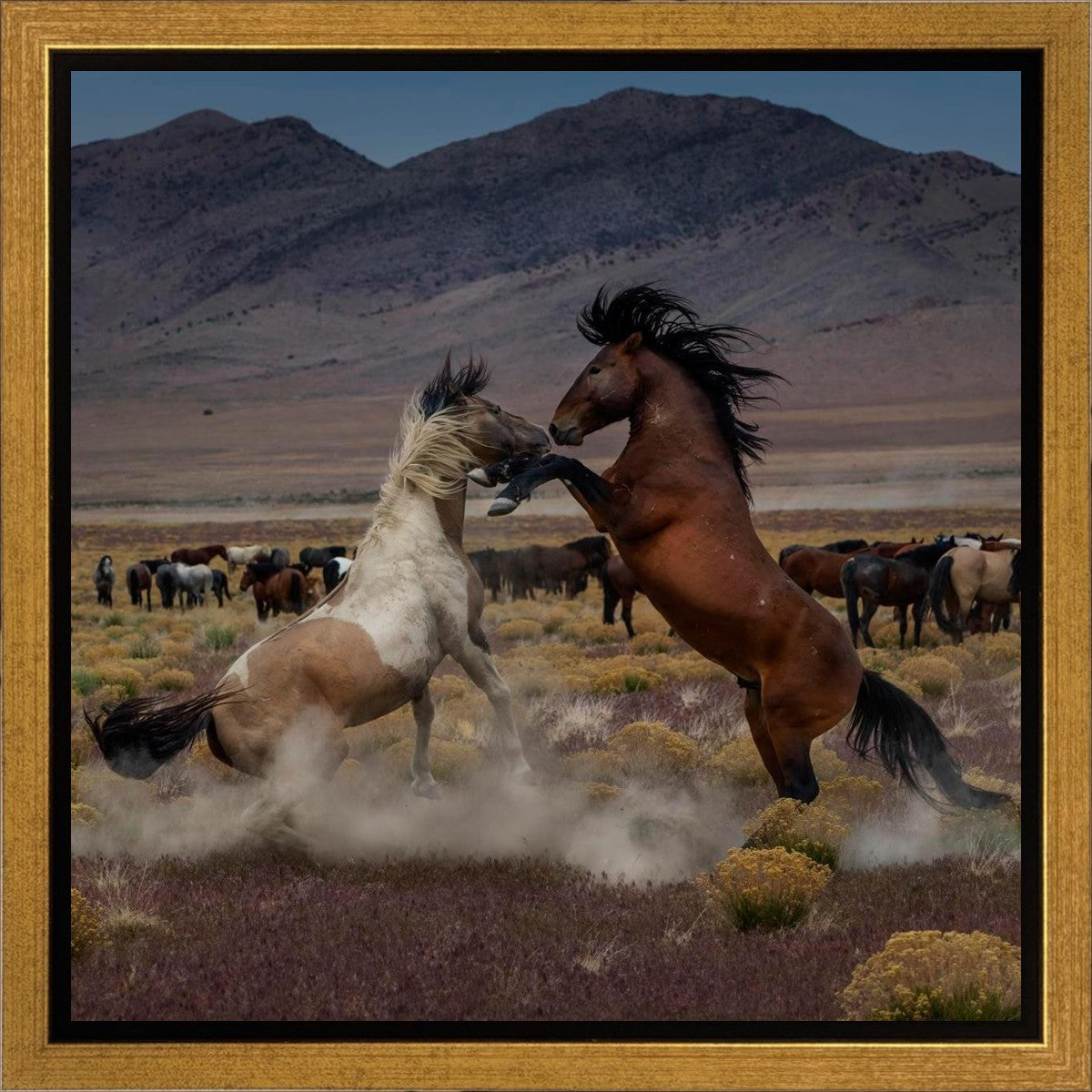 Desert Duel 5