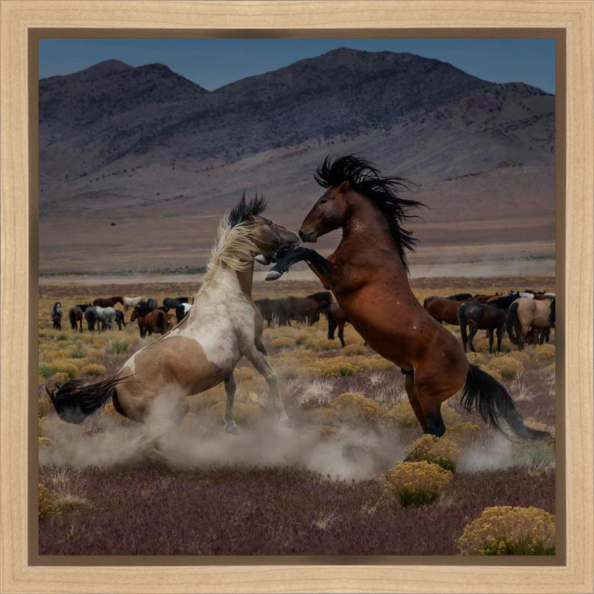 Desert Duel 5