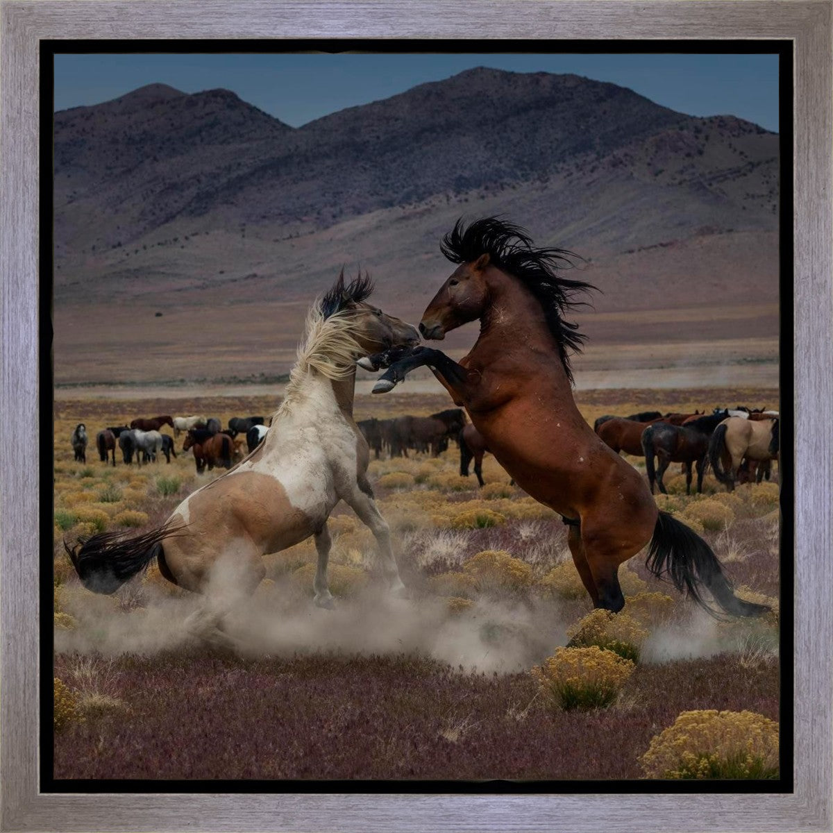 Desert Duel 5