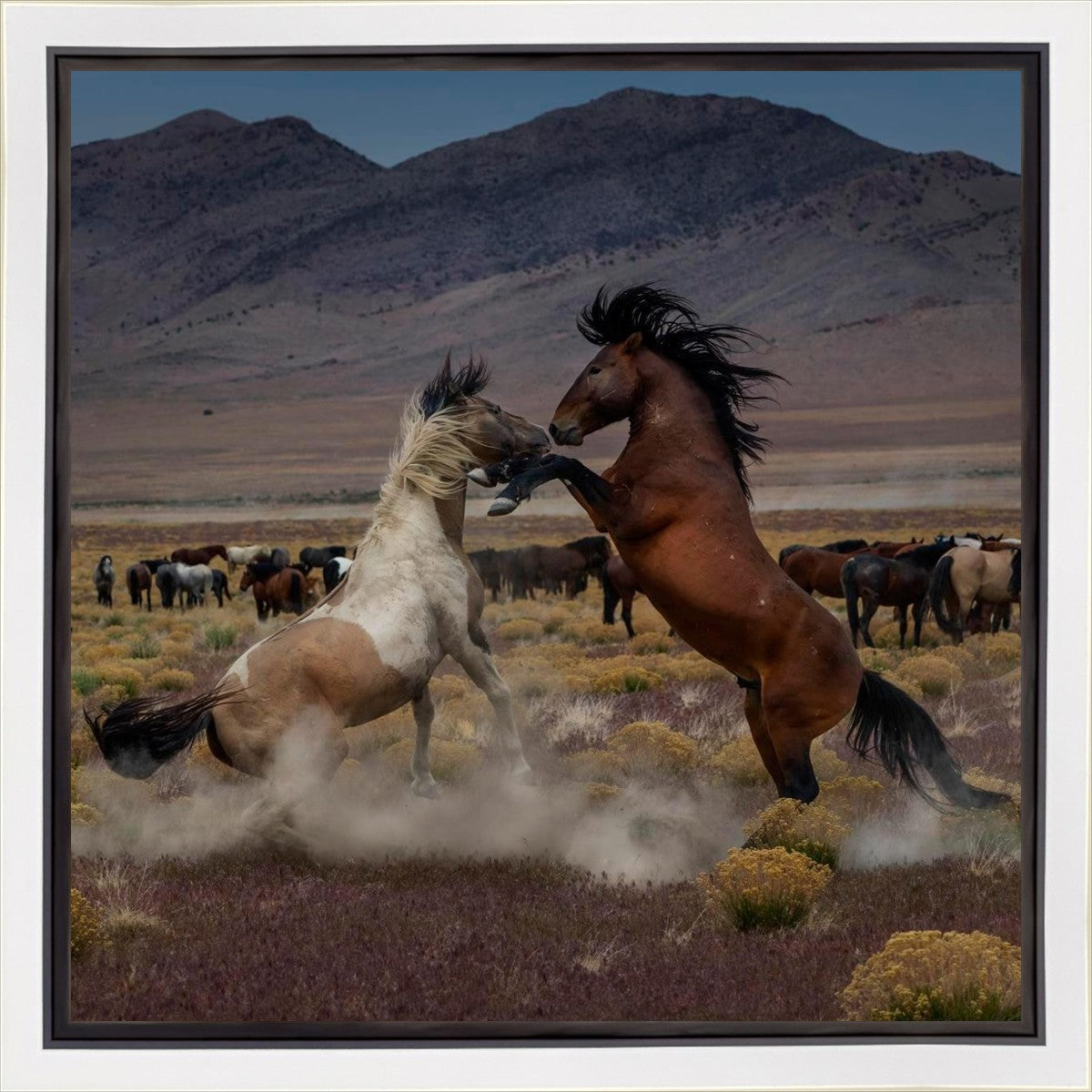 Desert Duel 5