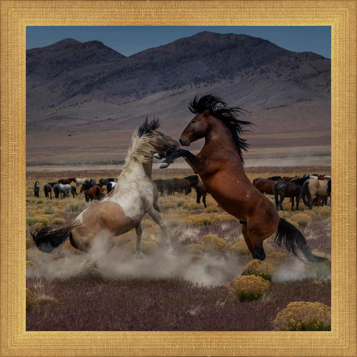 Desert Duel 5
