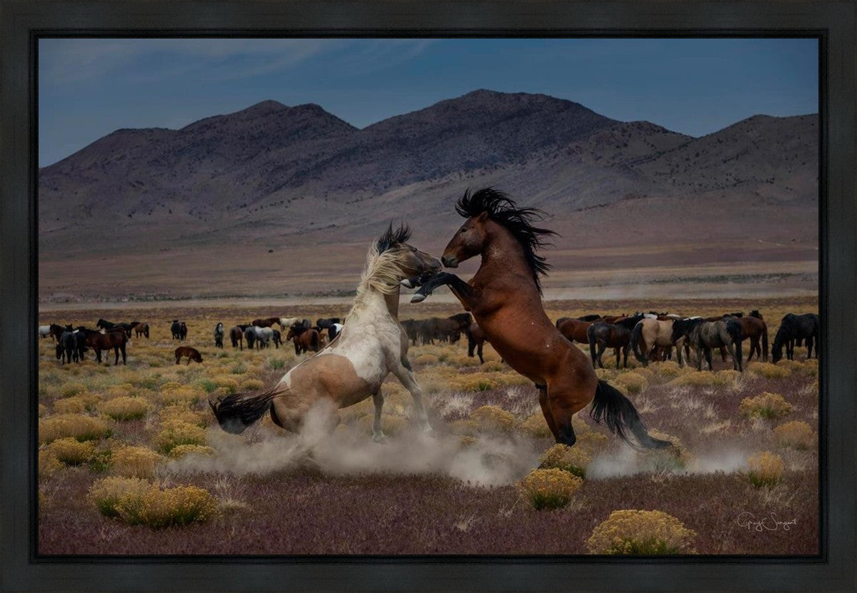 Desert Duel 5