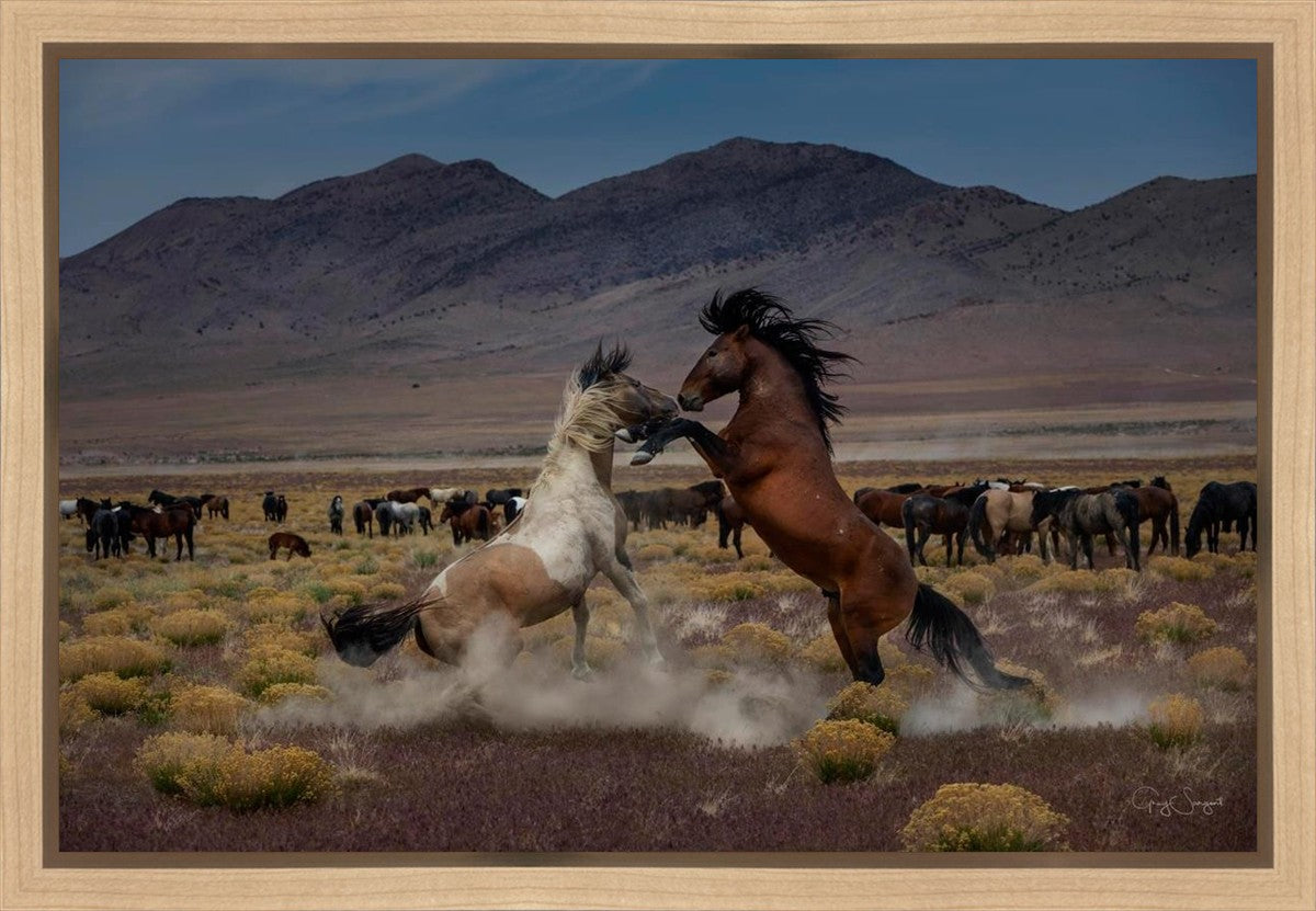 Desert Duel 5