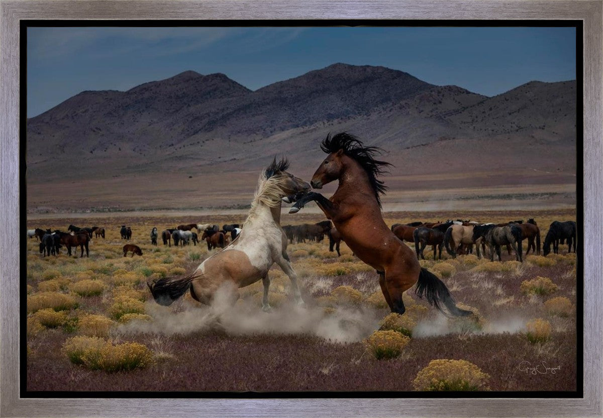 Desert Duel 5