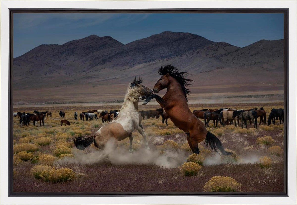 Desert Duel 5
