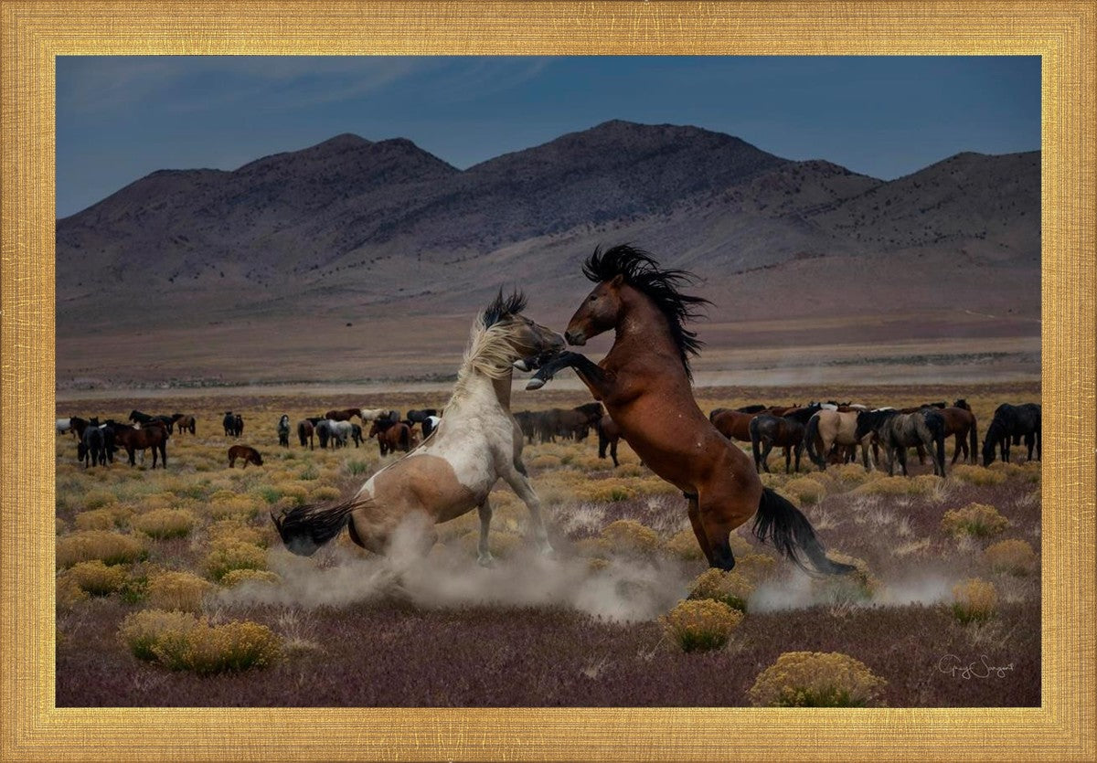 Desert Duel 5