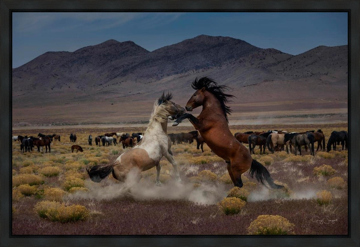 Desert Duel 5