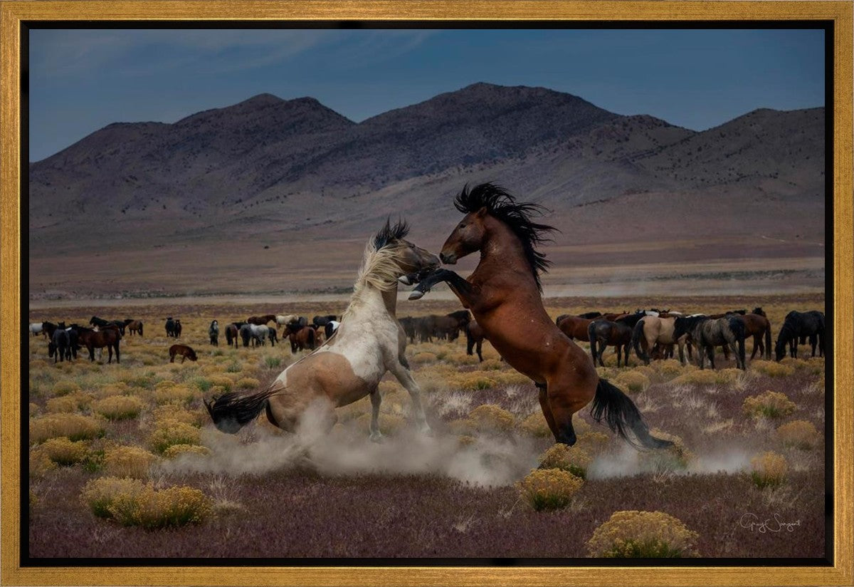 Desert Duel 5