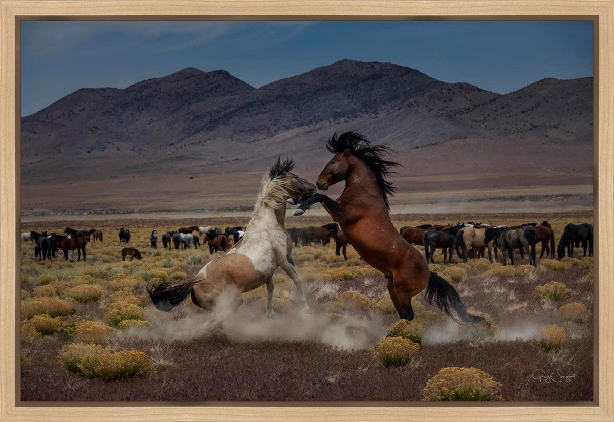 Desert Duel 5