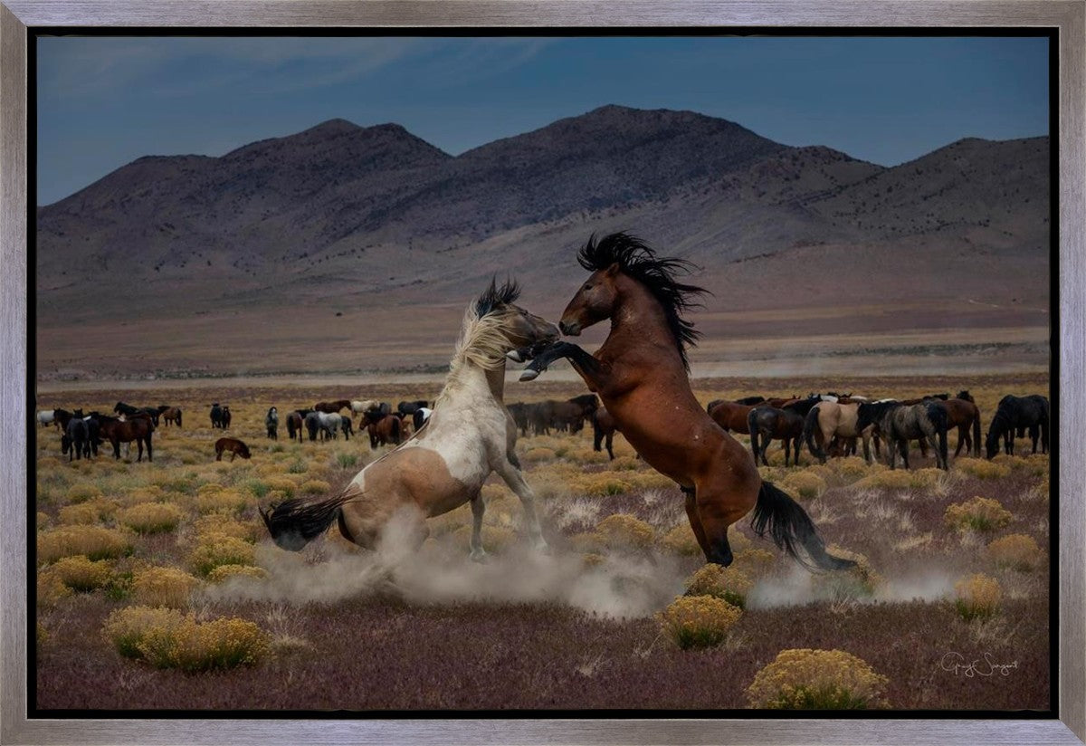 Desert Duel 5