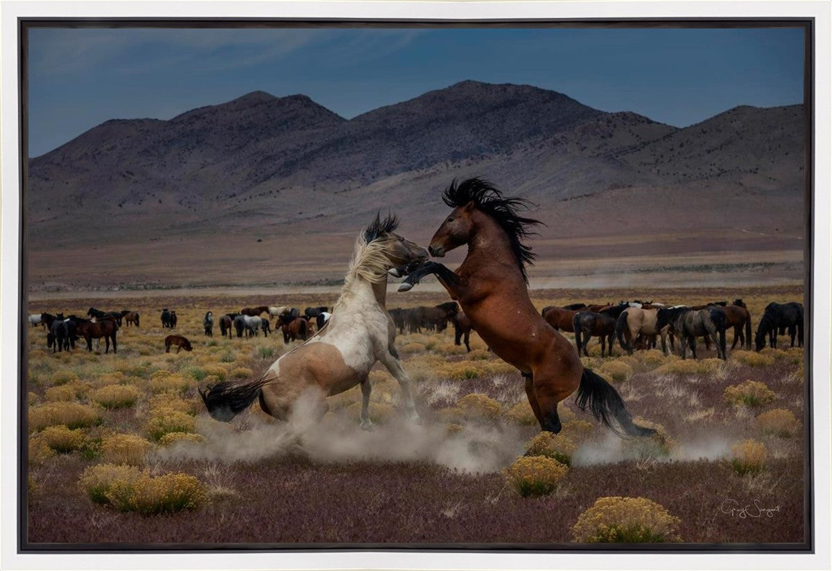 Desert Duel 5