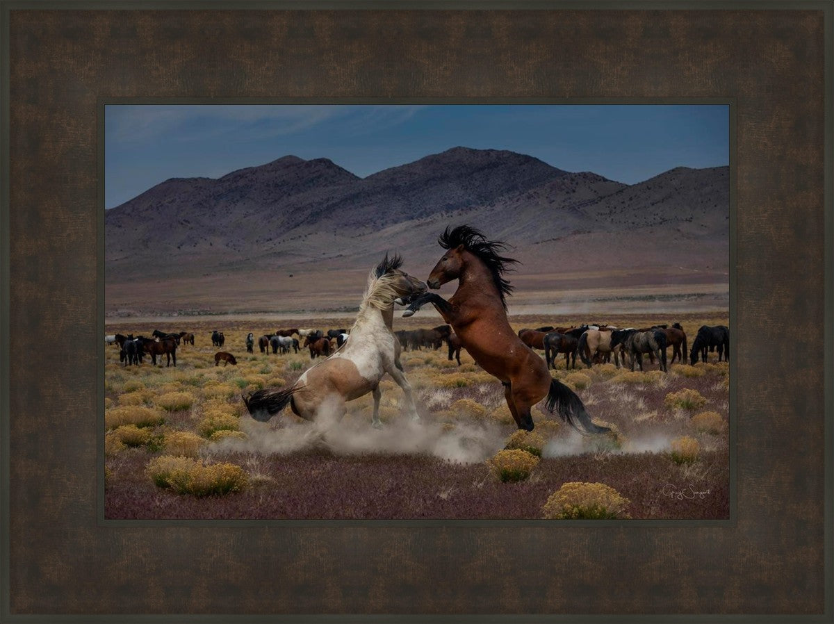 Desert Duel 5