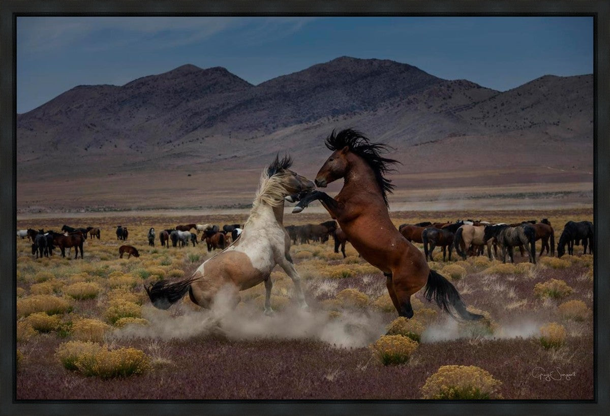 Desert Duel 5