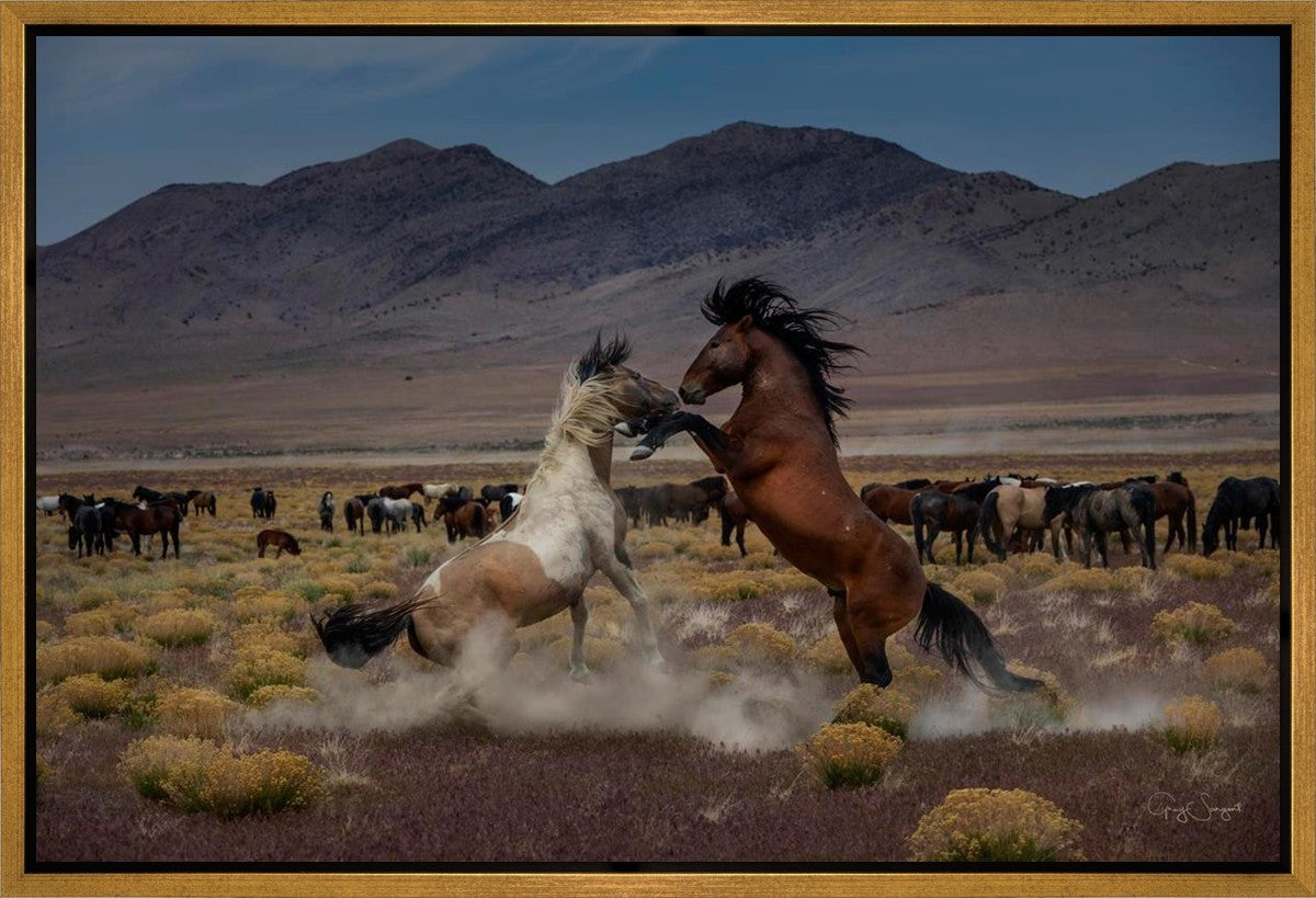 Desert Duel 5