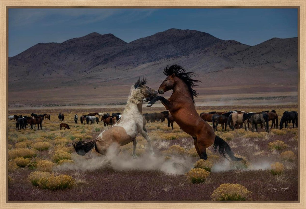 Desert Duel 5