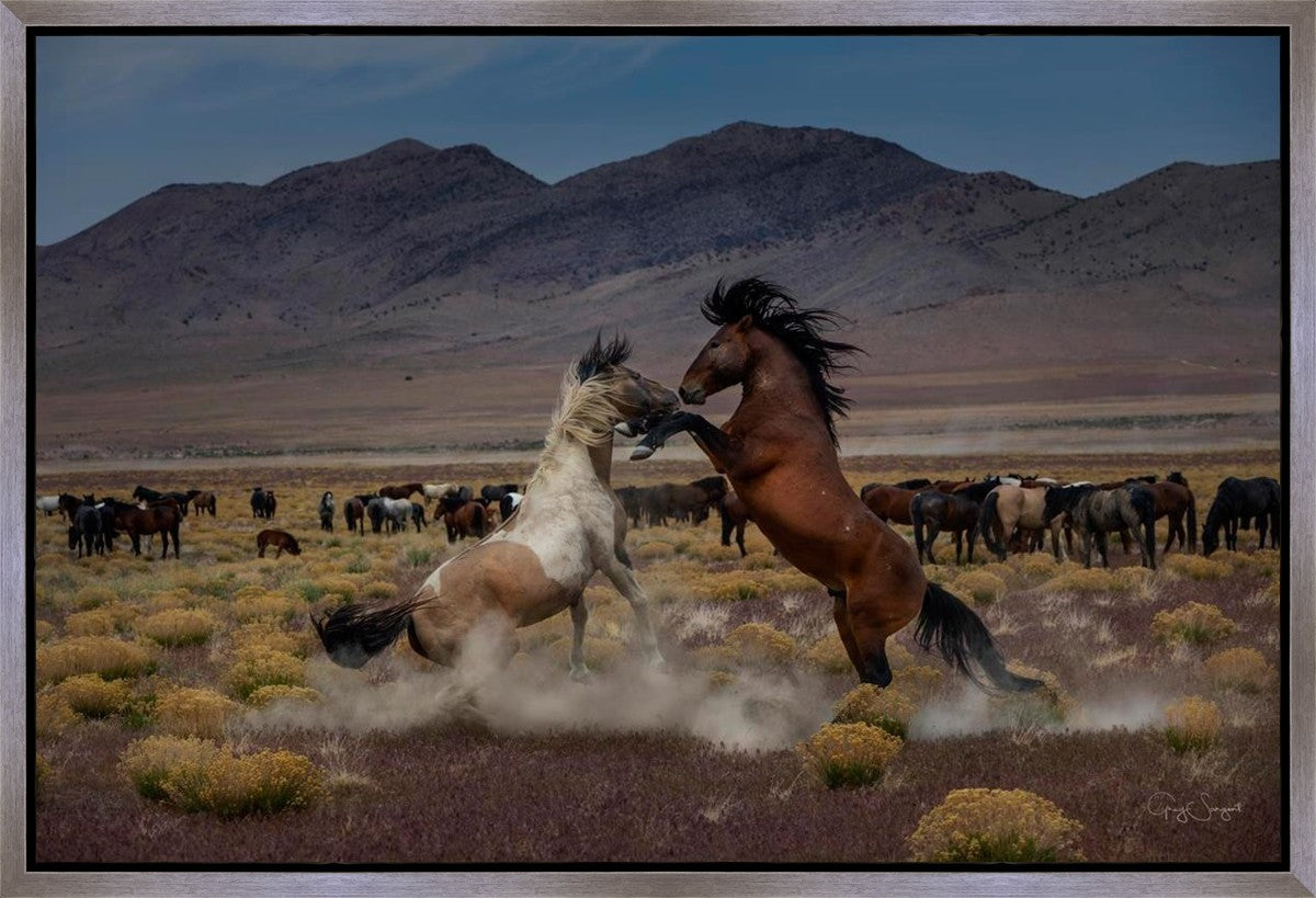 Desert Duel 5