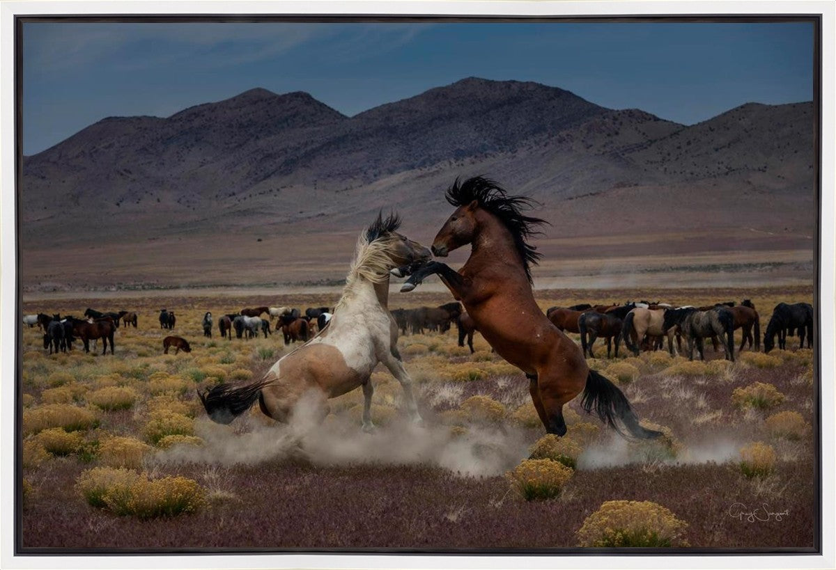 Desert Duel 5