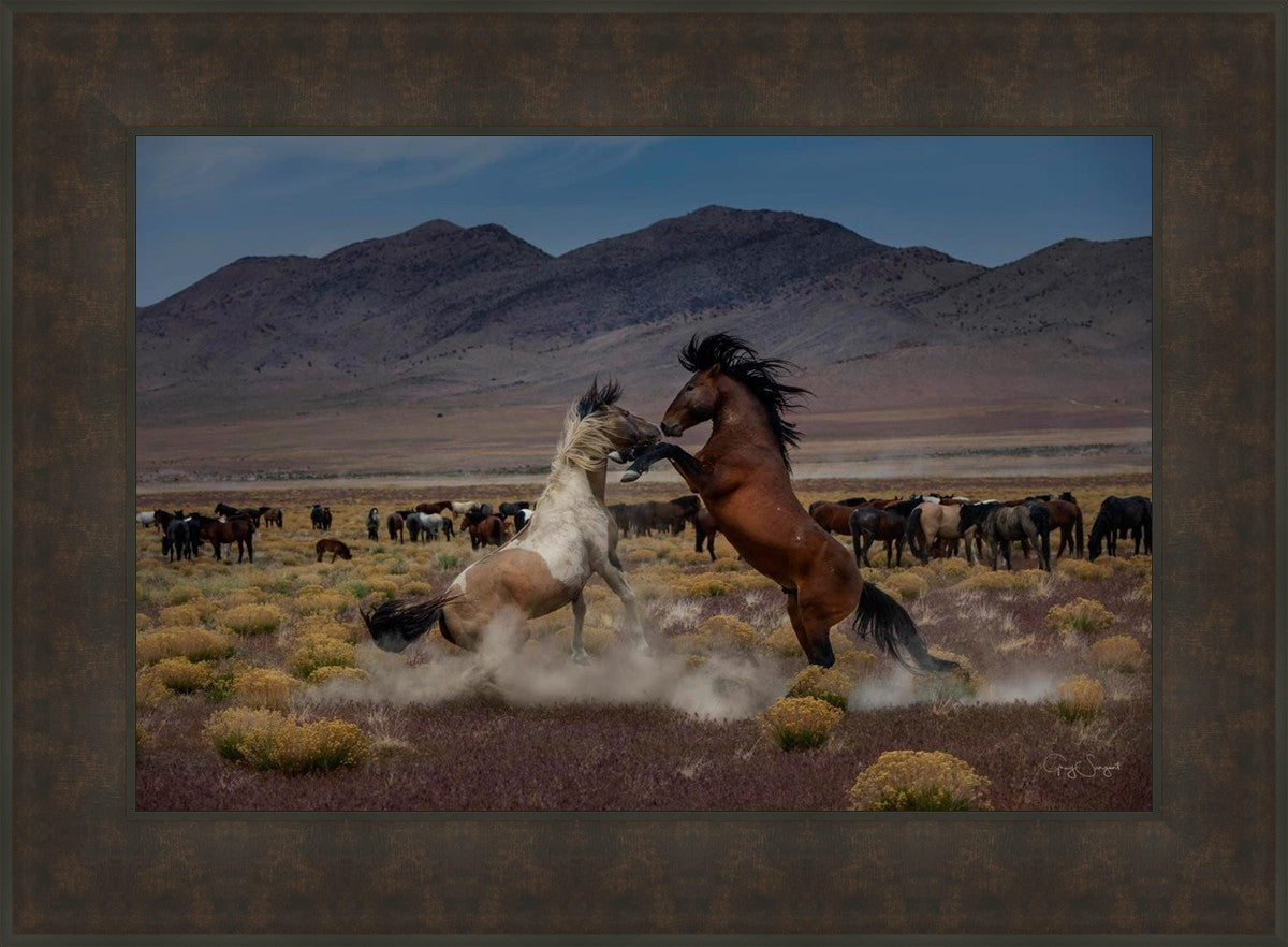 Desert Duel 5