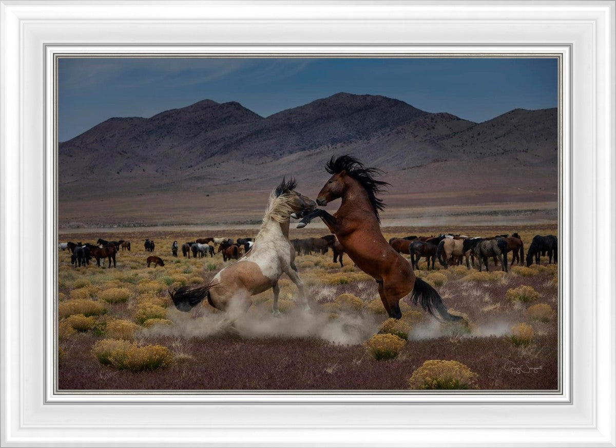 Desert Duel 5