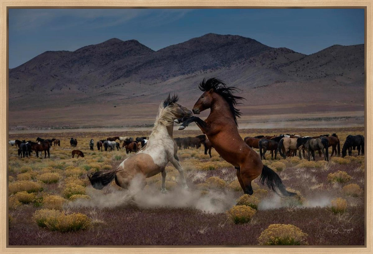 Desert Duel 5