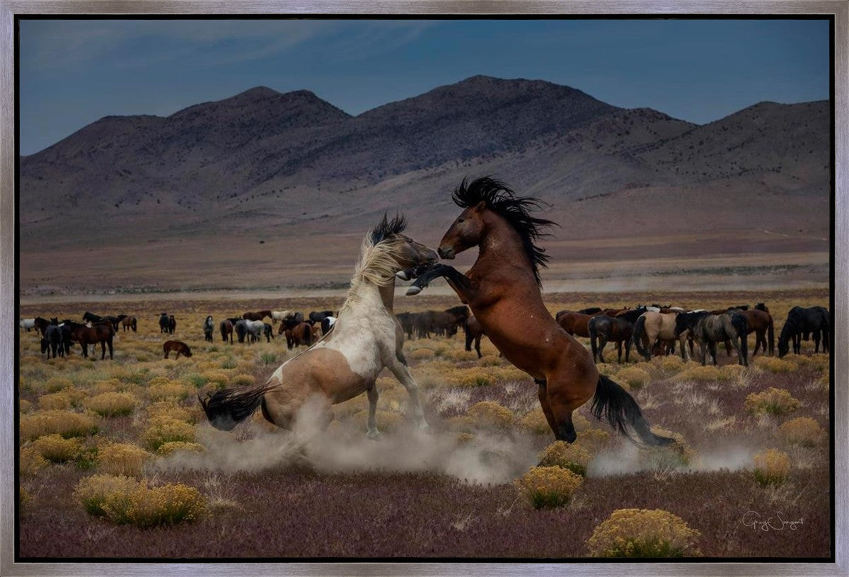 Desert Duel 5