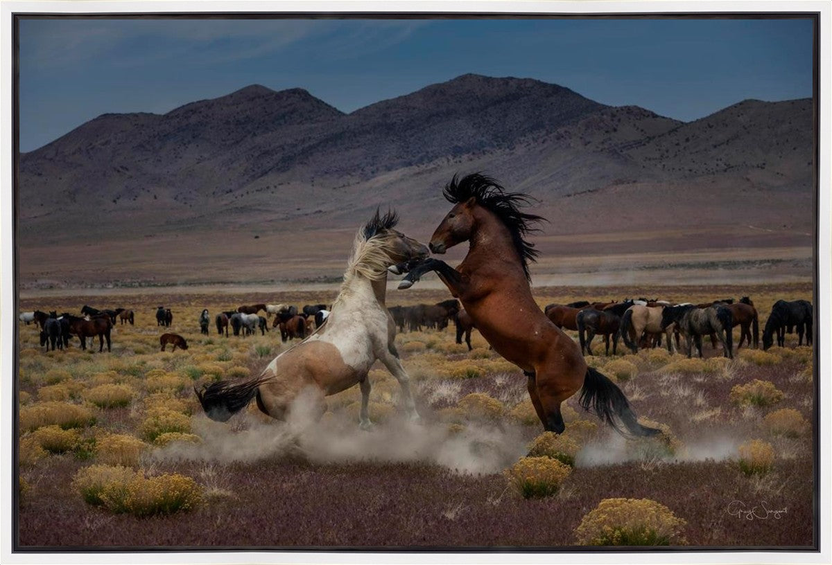 Desert Duel 5