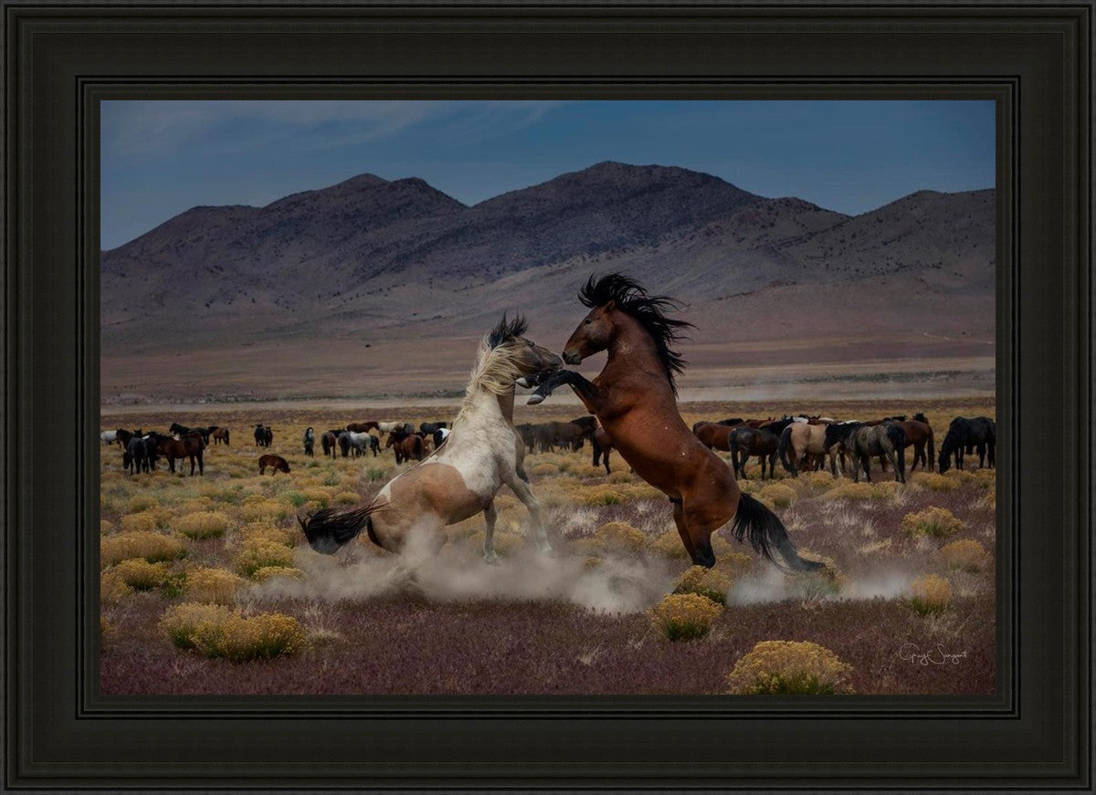 Desert Duel 5
