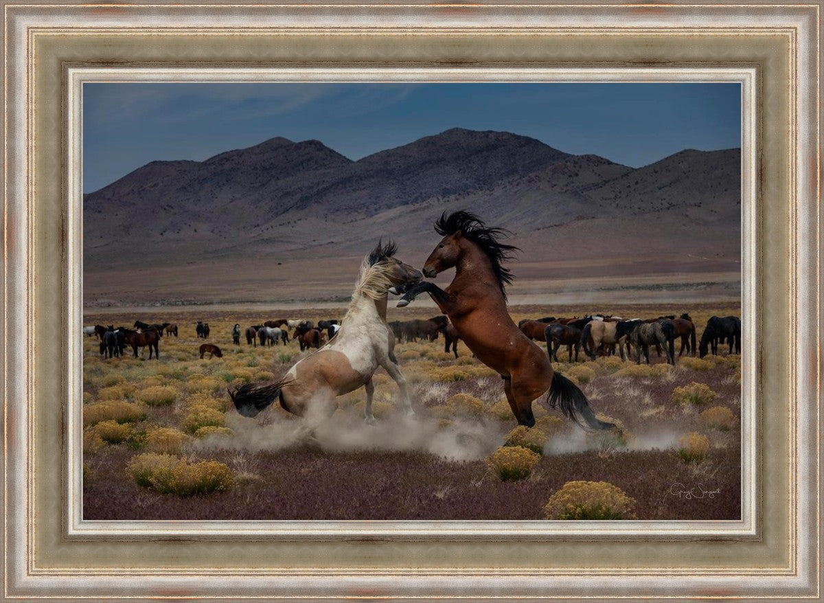 Desert Duel 5