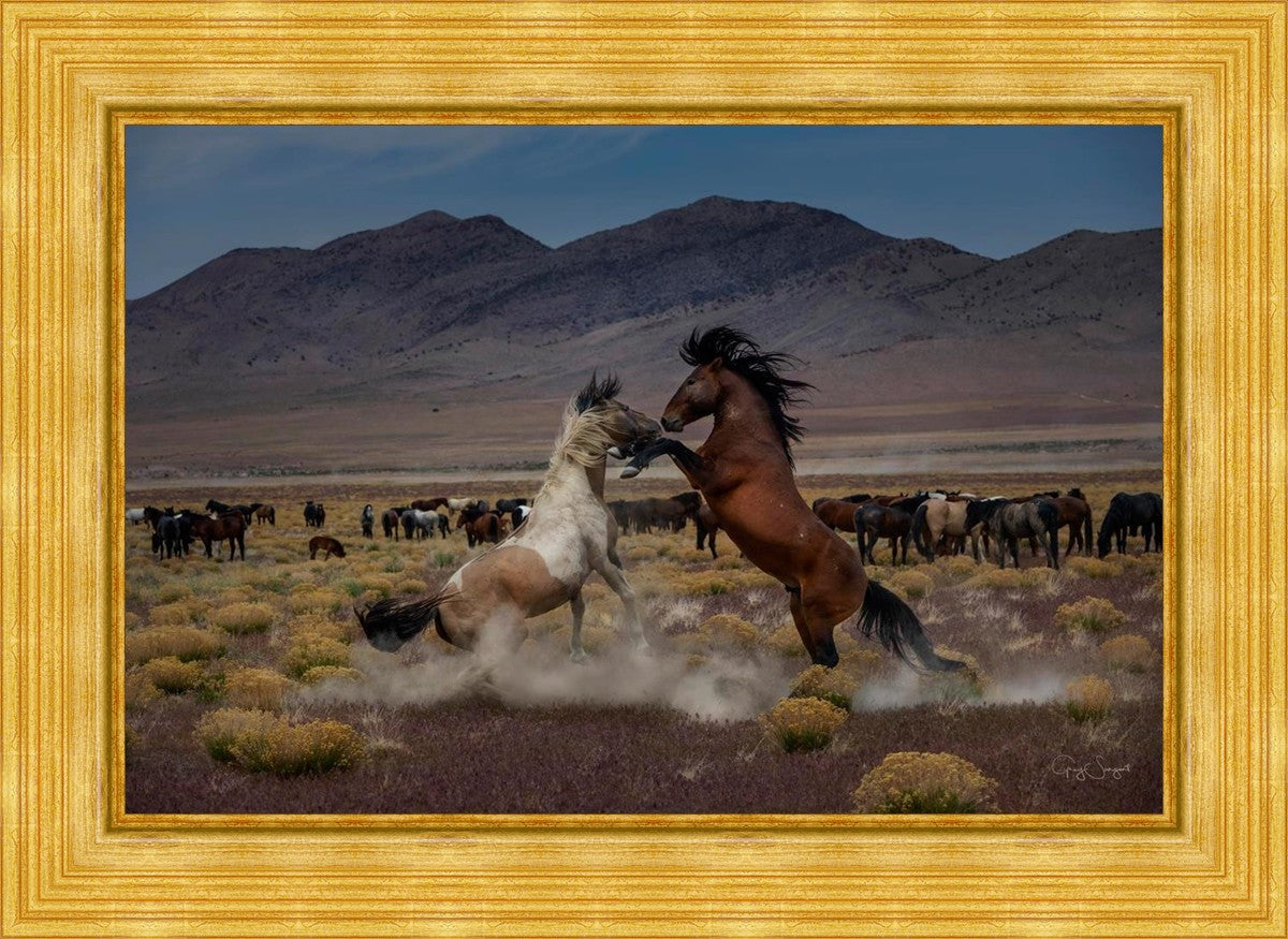 Desert Duel 5