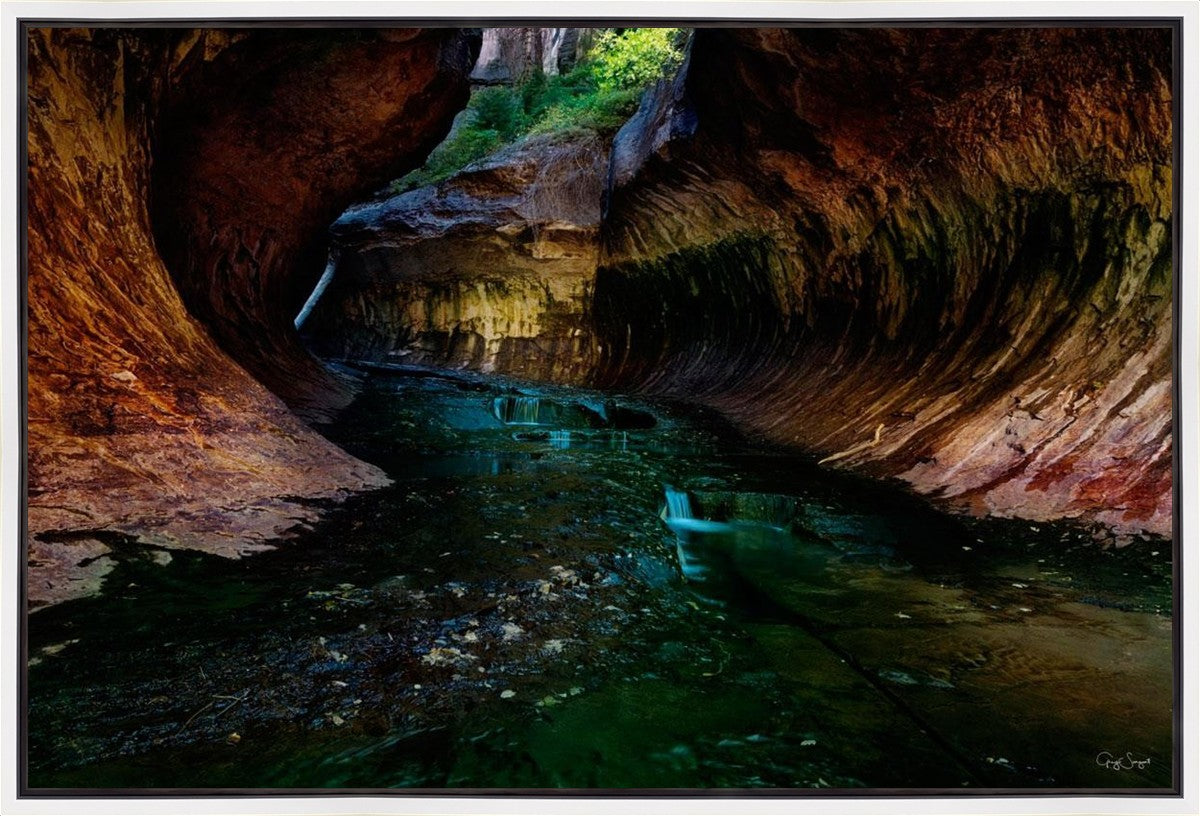 Zion's Abyss