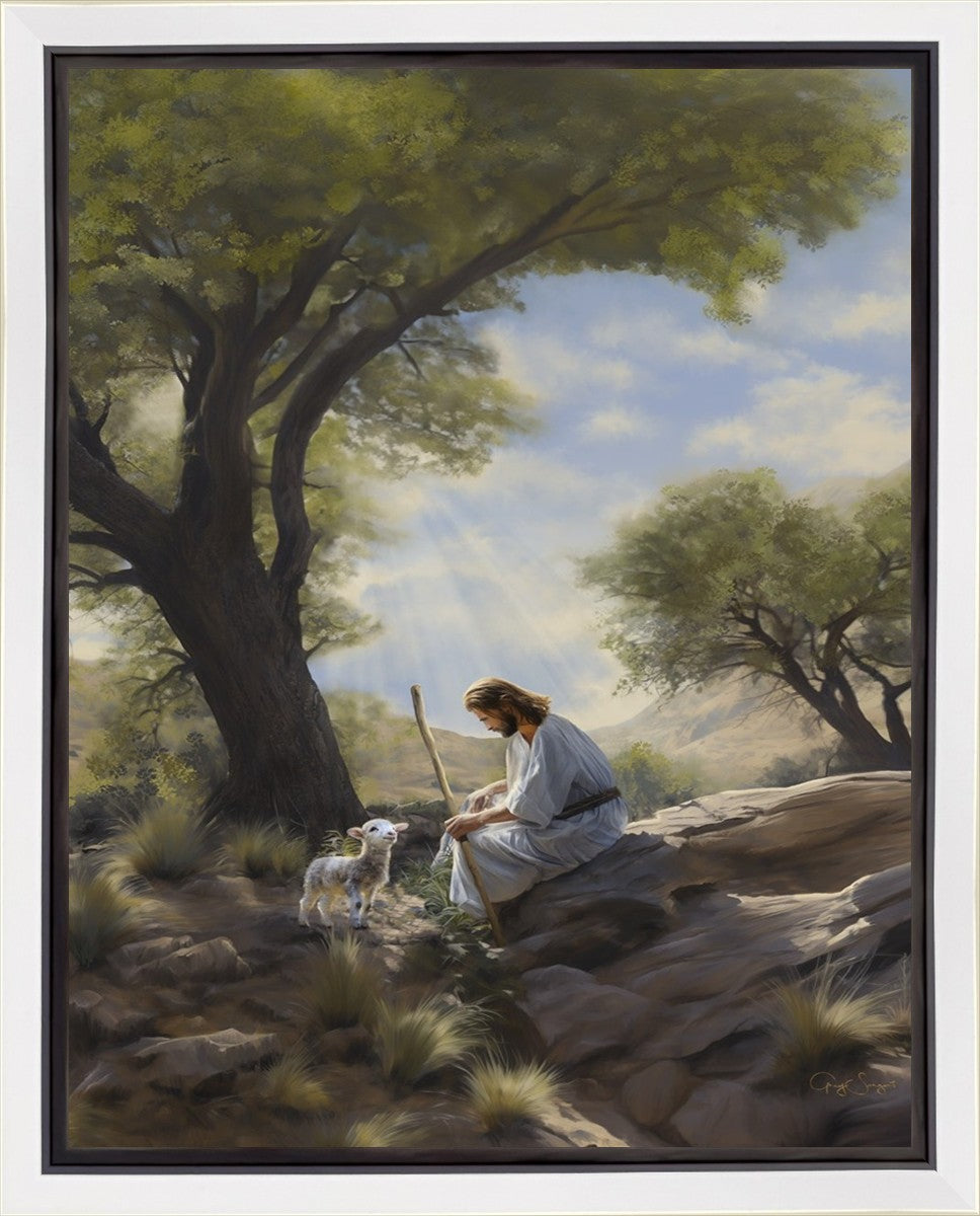 Shepherd's Counsel