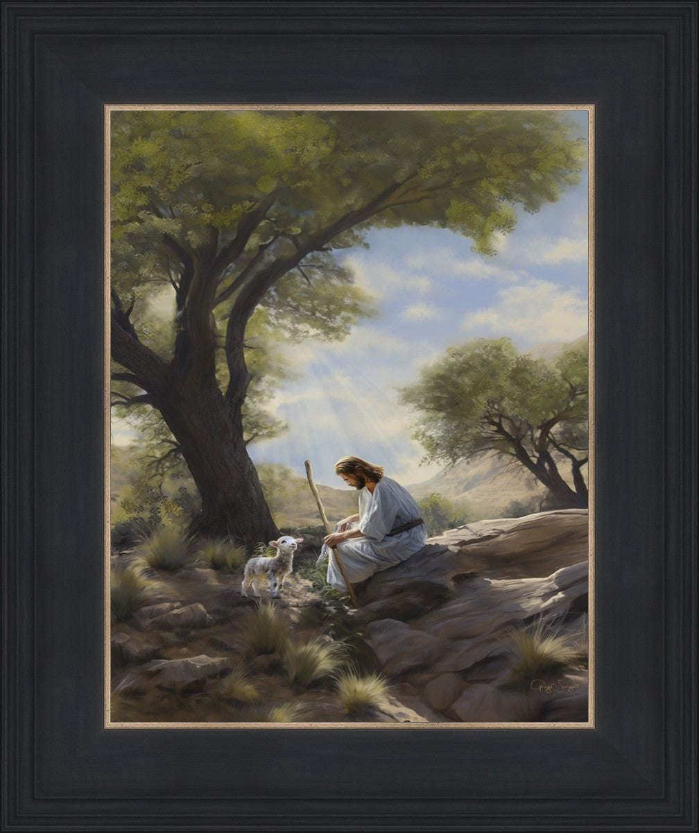 Shepherd's Counsel