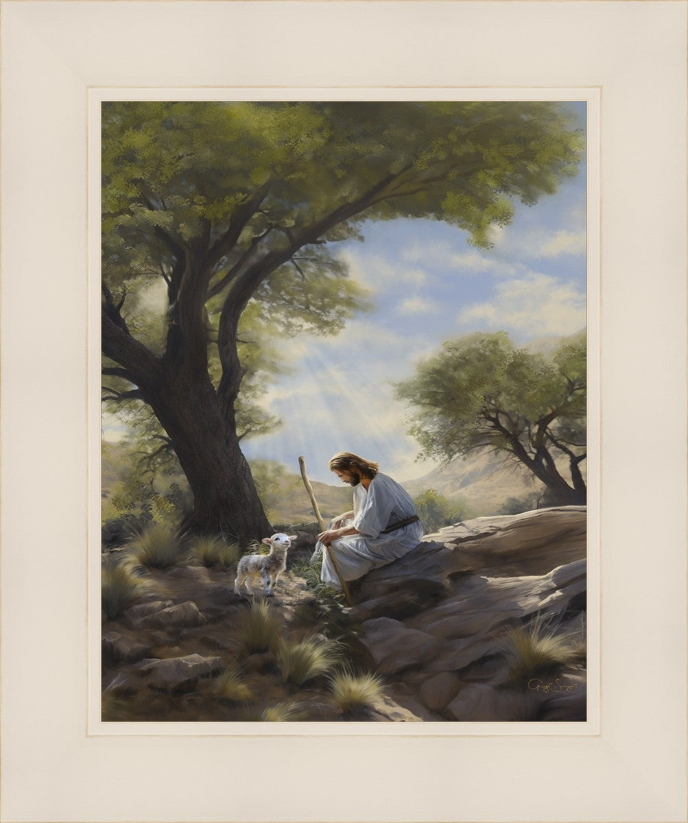 Shepherd's Counsel