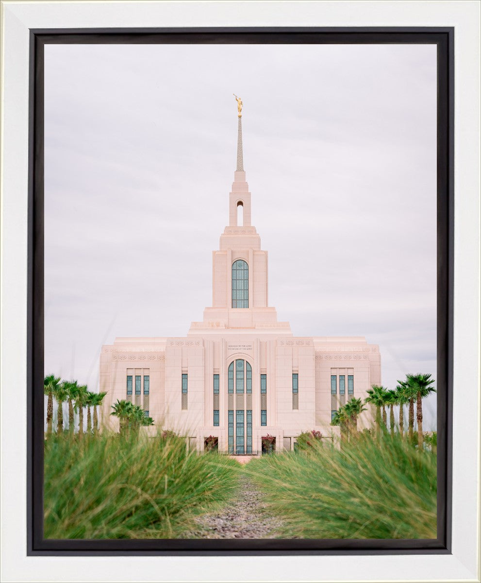 Red Cliffs Utah Palm Trees